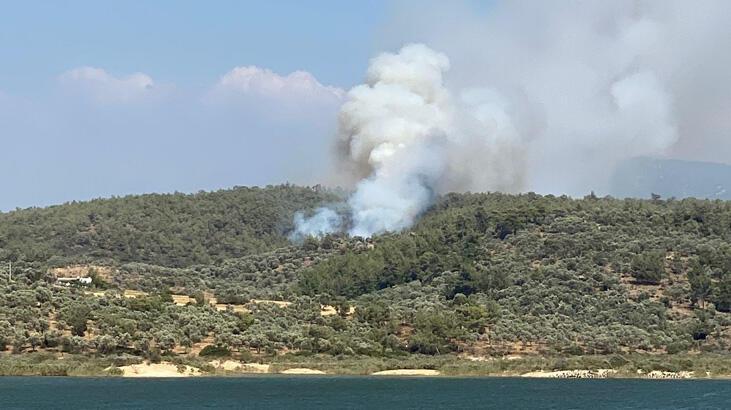 Bodrum'da ormanlık alanda yangın! Müdahale devam ediyor