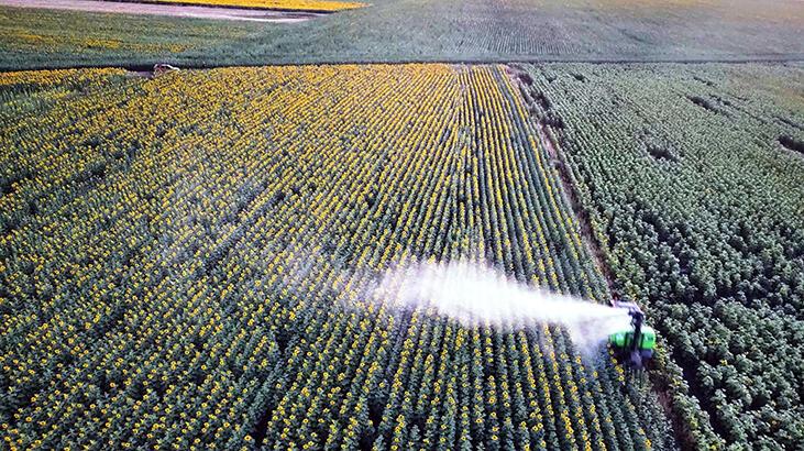 Edirne'de 'çayır tırtılı'na karşı mücadele! 100 bin dönümlük alanda tamamlandı