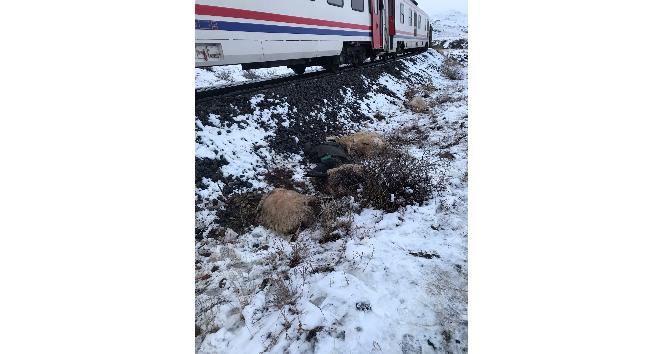 Erzincan'da trenin çarptığı çoban öldü