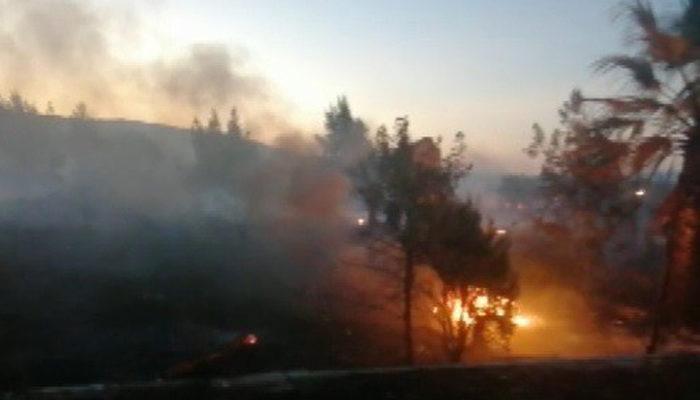 İzmir'de ormanı yakan şüpheli tutuklandı! 