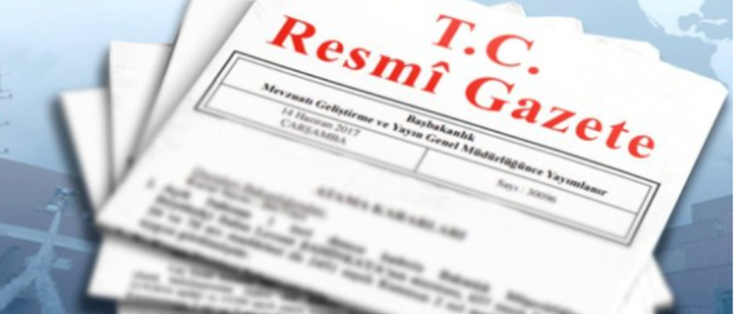 Resmi Gazete'de yayımlandı! 28. Dönem Milletvekili sonuçları