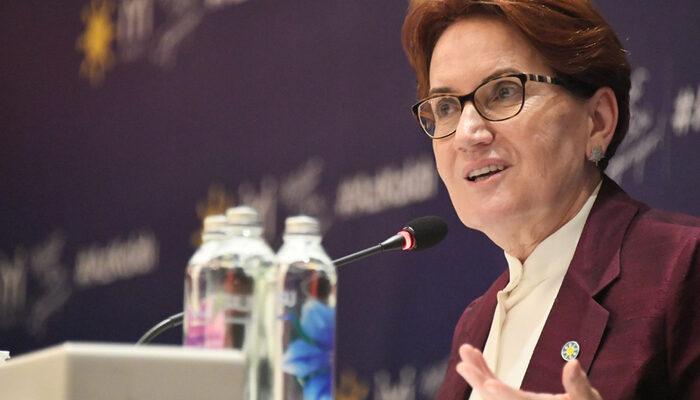 Talihsiz olay! Meral Akşener'i sokak köpeği ısırdı